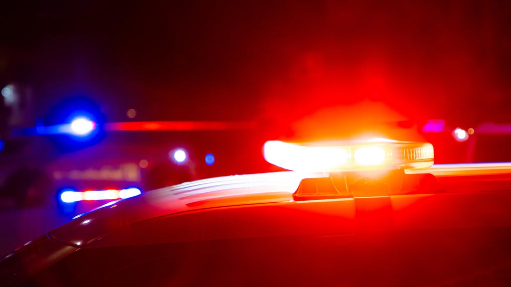 Driver killed in head-on collision with semi in central Minnesota — Maplewood Sports news