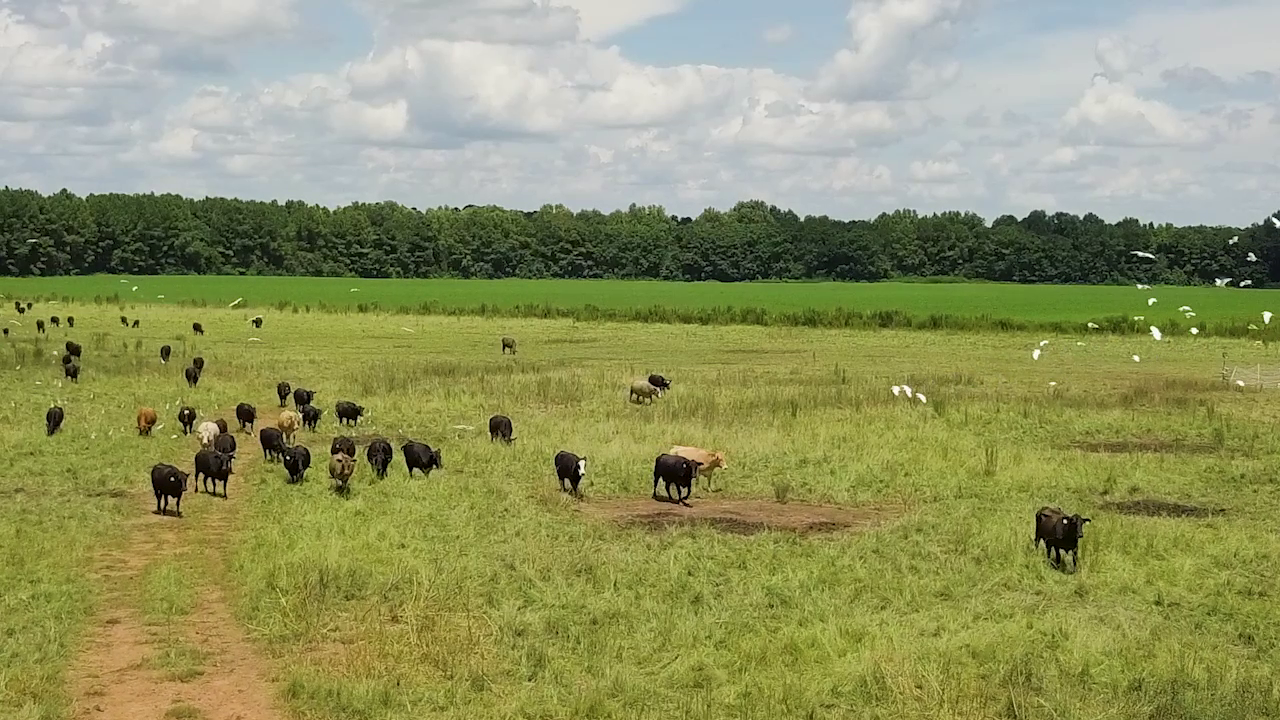 5 ON YOUR SIDE: Regenerative agriculture — Maplewood Health news